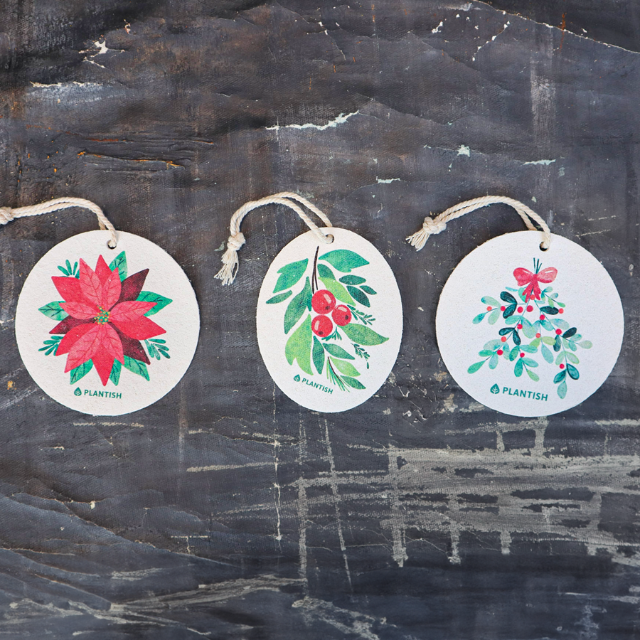 Lot de 3 éponges Pop Up - Botanical Bliss