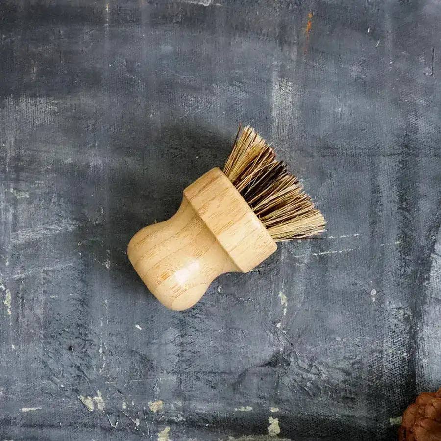 Ensemble d'éponges et de savon à vaisselle solide
