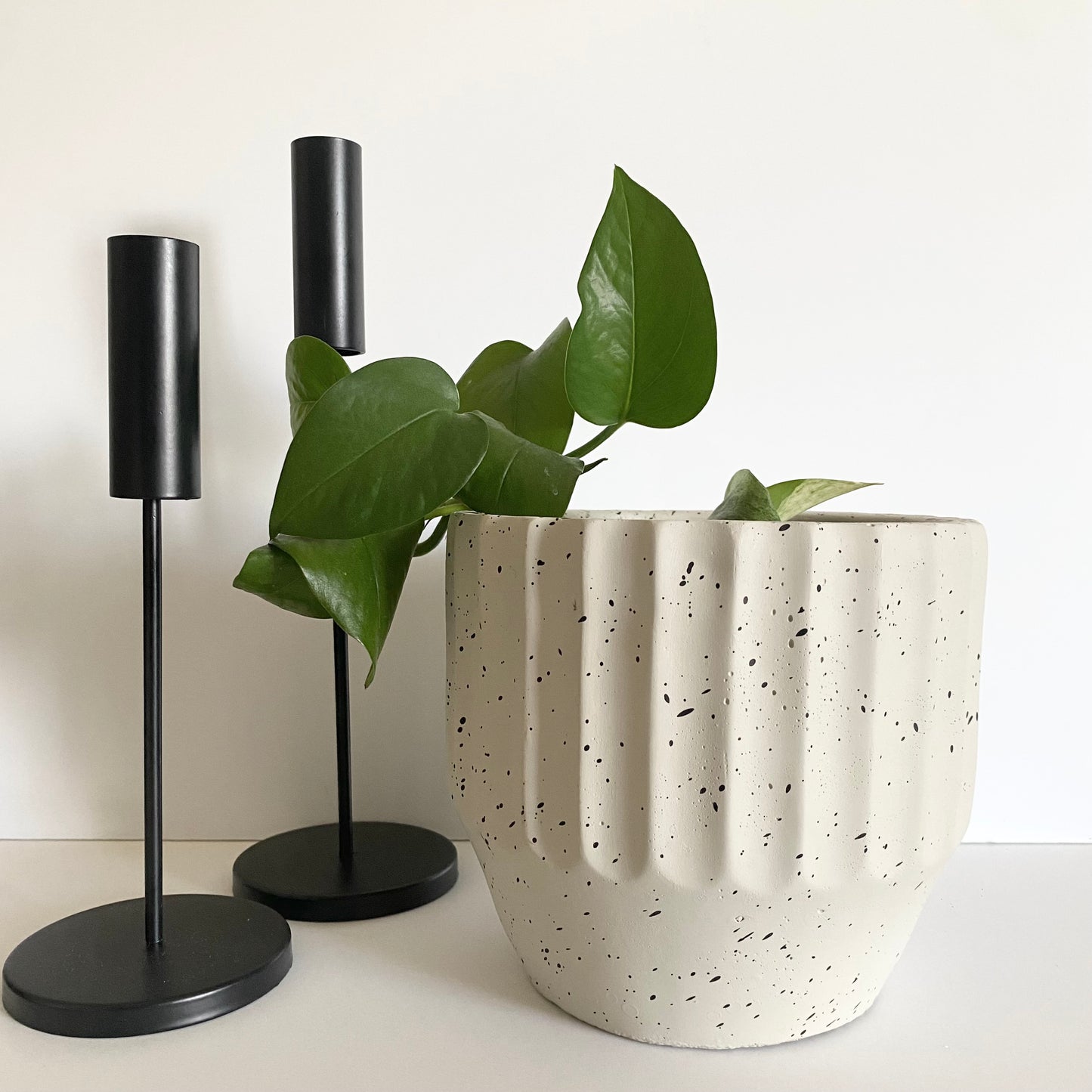 Speckle planter